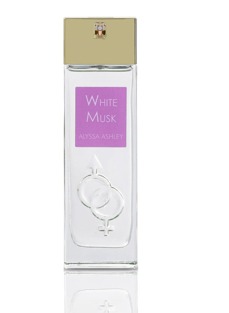 ALYSSA ASHLEY White Musk Eau De Parfum 100 ML - Image 1
