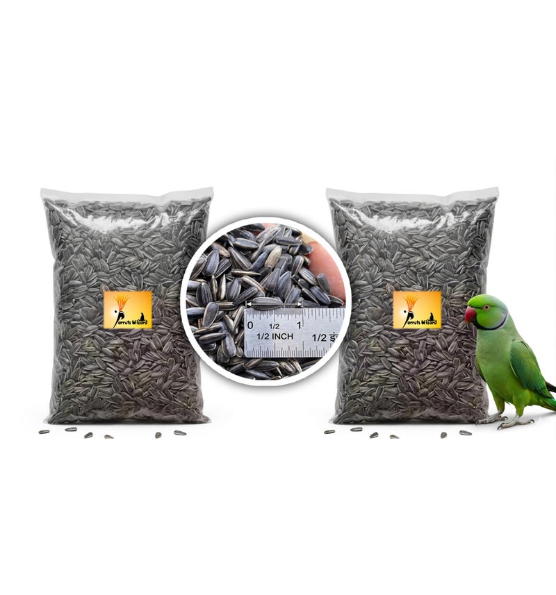 Parrots Wizard, Small Size Strip Sunflower Seeds 900 Grams - [Pack Of 2] - Bird - Image 2