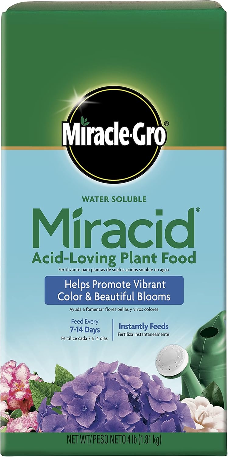 Miracle-Gro Miracid Acid-Loving Plant Food, 4 lb - Image 1