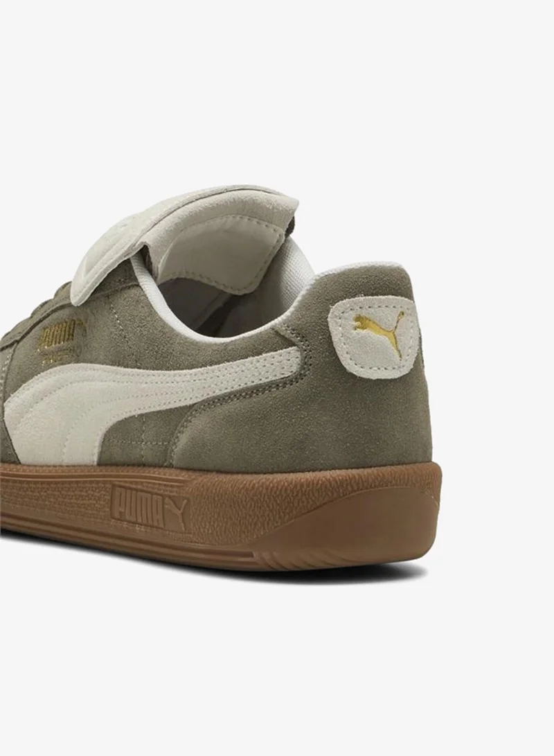 Puma Velvet Moss-Warm White Palermo PREMIUM Suede Sneakers Unisex  | Best Price UAE