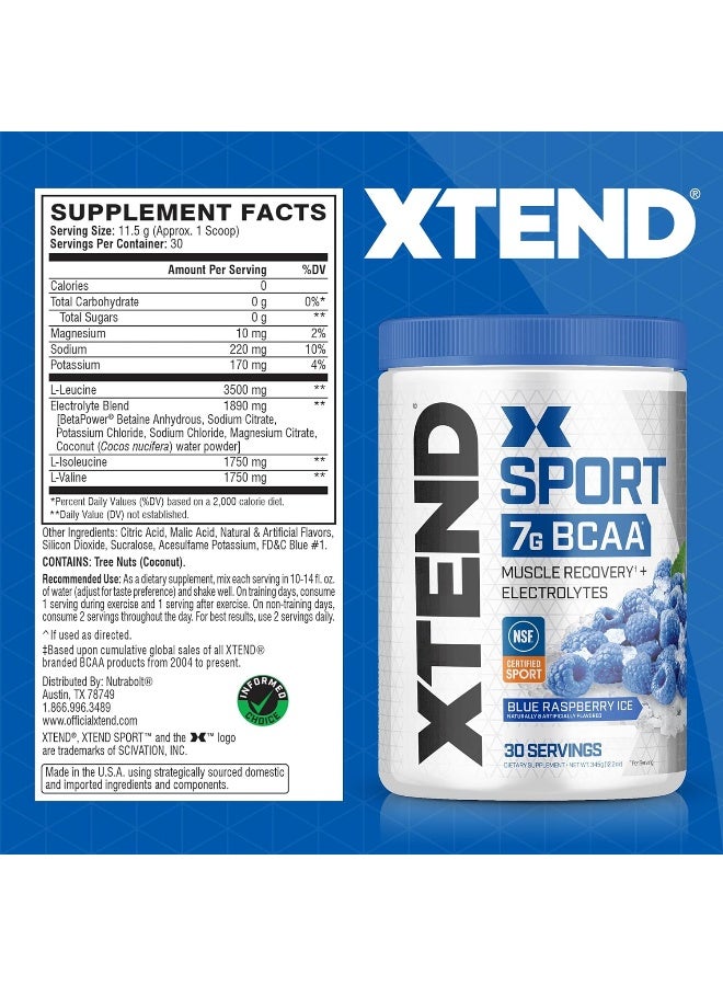 اسكتيند مسحوق Sport BCAA بنكهة بلو راسبيري آيس – مسحوق إلكتروليت للتعافي والترطيب مع الأحماض الأمينية – 30 حصة - Image 2