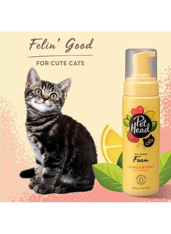 ذا كومباني أوف أنيمالز شامبو PET HEAD Felin' Good Foam للقطط، 6.7 أونصة سائلة، برائحة الفواكه، شامبو سريع الجفاف ولا يحتاج إلى الشطف، مضاد للحساسية، يحتوي على مكونات طبيعية ونباتية، تركيبة لطيفة للقطط الصغيرة، صنع في الولايات المتحدة الأمريكية  - Image 3
