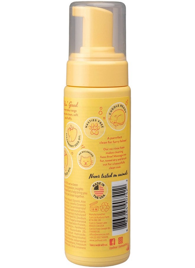 ذا كومباني أوف أنيمالز شامبو PET HEAD Felin' Good Foam للقطط، 6.7 أونصة سائلة، برائحة الفواكه، شامبو سريع الجفاف ولا يحتاج إلى الشطف، مضاد للحساسية، يحتوي على مكونات طبيعية ونباتية، تركيبة لطيفة للقطط الصغيرة، صنع في الولايات المتحدة الأمريكية  - Image 2