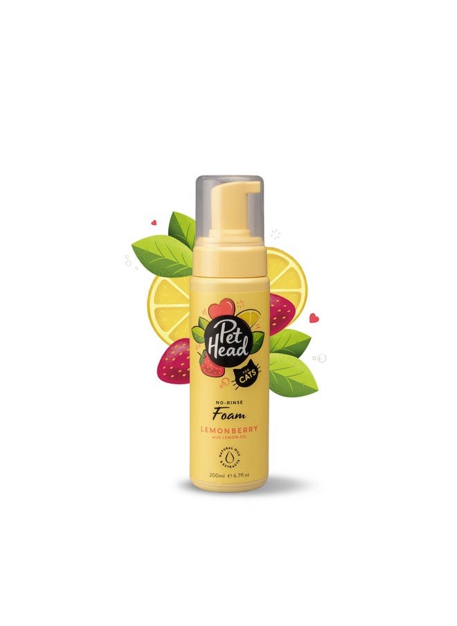 ذا كومباني أوف أنيمالز شامبو PET HEAD Felin' Good Foam للقطط، 6.7 أونصة سائلة، برائحة الفواكه، شامبو سريع الجفاف ولا يحتاج إلى الشطف، مضاد للحساسية، يحتوي على مكونات طبيعية ونباتية، تركيبة لطيفة للقطط الصغيرة، صنع في الولايات المتحدة الأمريكية  - Image 1