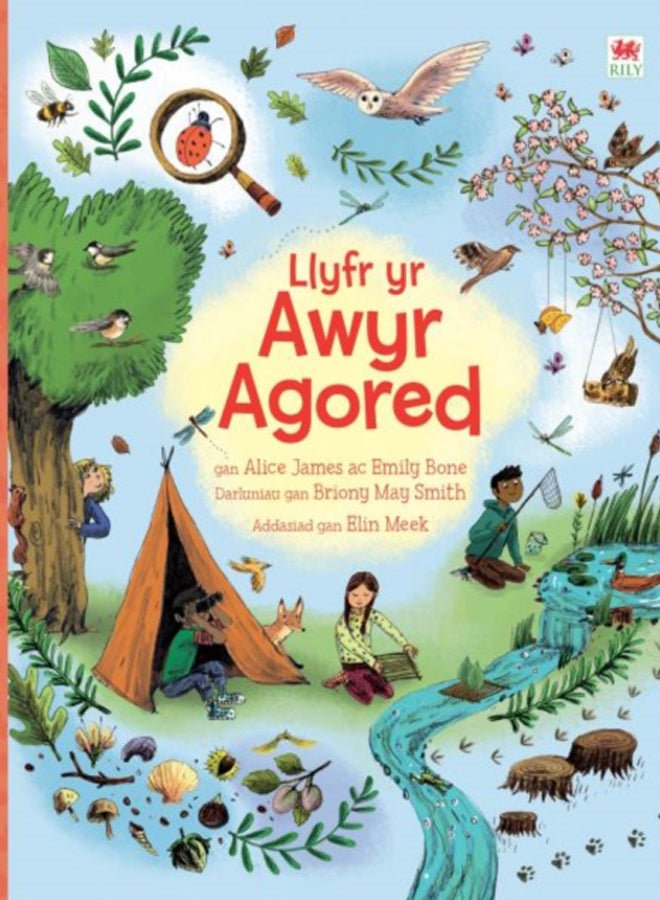 Llyfr yr Awyr Agored