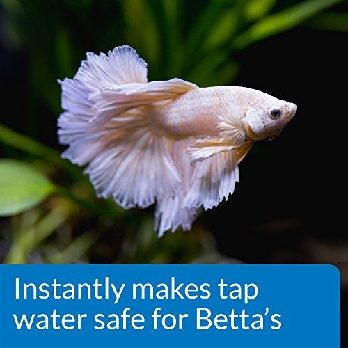 API BETTA WATER CONDITIONER Betta Fish Freshwater Aquarium Water Conditioner 1.7-Ounce Bottle - Image 3