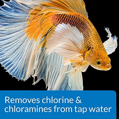 API BETTA WATER CONDITIONER Betta Fish Freshwater Aquarium Water Conditioner 1.7-Ounce Bottle - Image 4