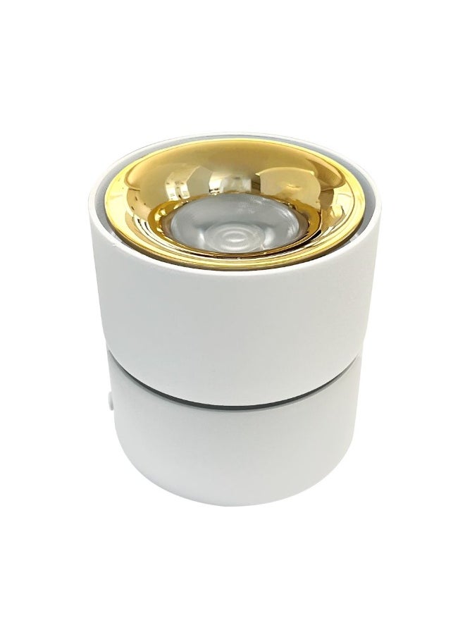 DANUBE HOME Milano Harmony Cob 12W Surface Light Round Indoor Lighting Fixture With 6500K Color Temperature Durable Aluminium Built - White+Gold Finish Ceiling Lights For Home & Office - 11X10X9.5Cm 