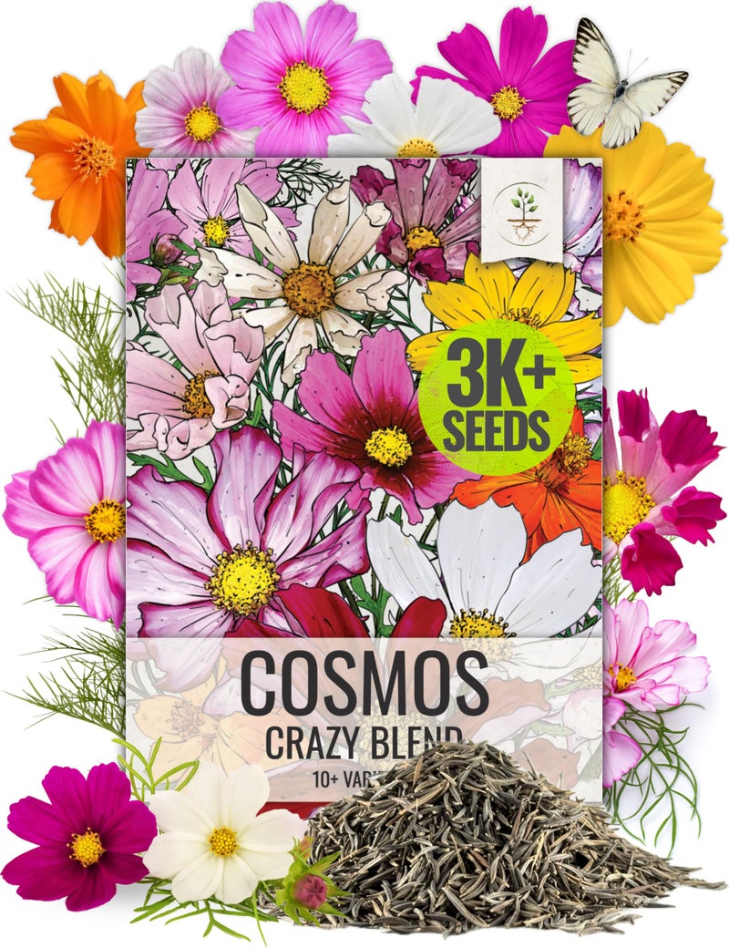 Seed Needs Flower Seeds Cosmos Crazy Blend No Filler 10+ Varieties Cosmos | Cosmo Bipinnatus Open Pollinated Untreated | Resealable Packaging Keeps Seeds Fresh | Bulk Cosmos Flowering Seed Mix - Image 1