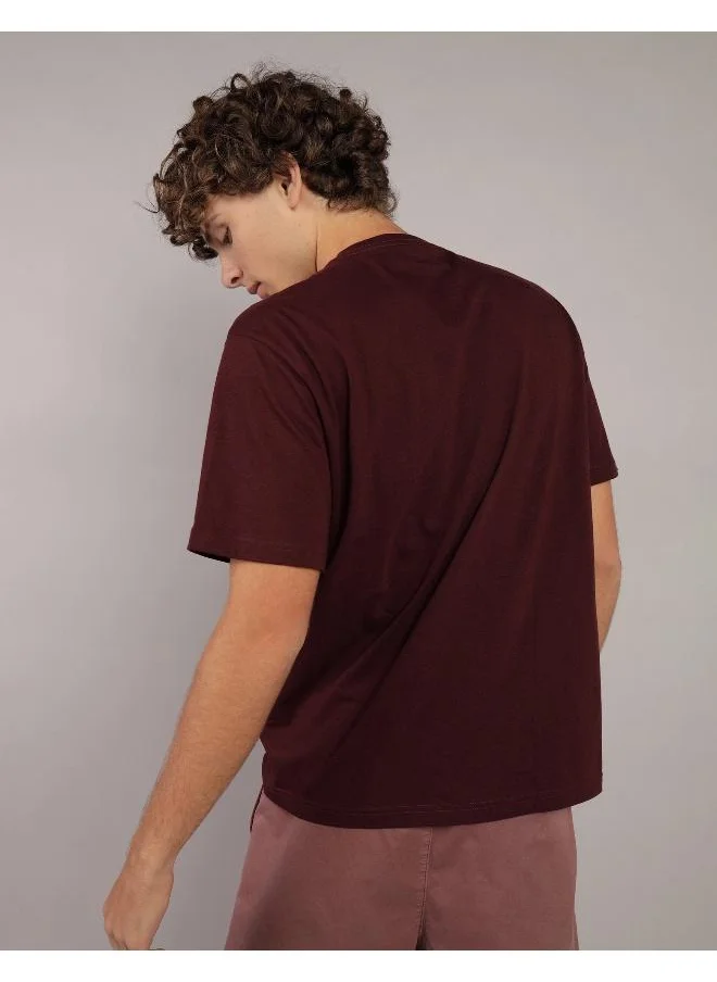 American Eagle AE Logo Graphic T-Shirt
