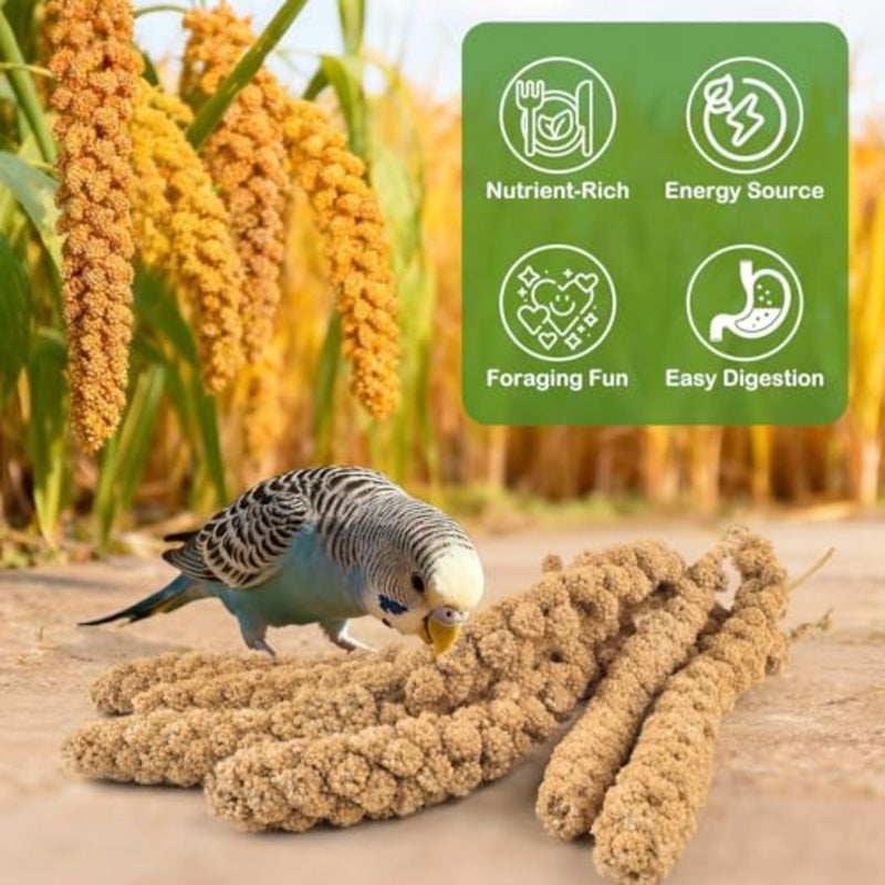 2.5LB Spray Millet Treat, All Natural Sun-Dried Healthy Treat Parrot Food Bird Snack for Parakeets, Lovebirds, Cockatiels, Finches, Budgies, Canaries Hamster, Bird Food Bulk - Image 4