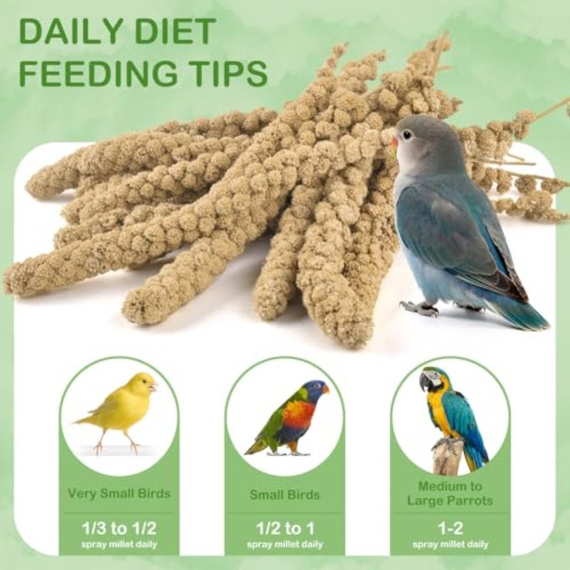 2.5LB Spray Millet Treat, All Natural Sun-Dried Healthy Treat Parrot Food Bird Snack for Parakeets, Lovebirds, Cockatiels, Finches, Budgies, Canaries Hamster, Bird Food Bulk - Image 5