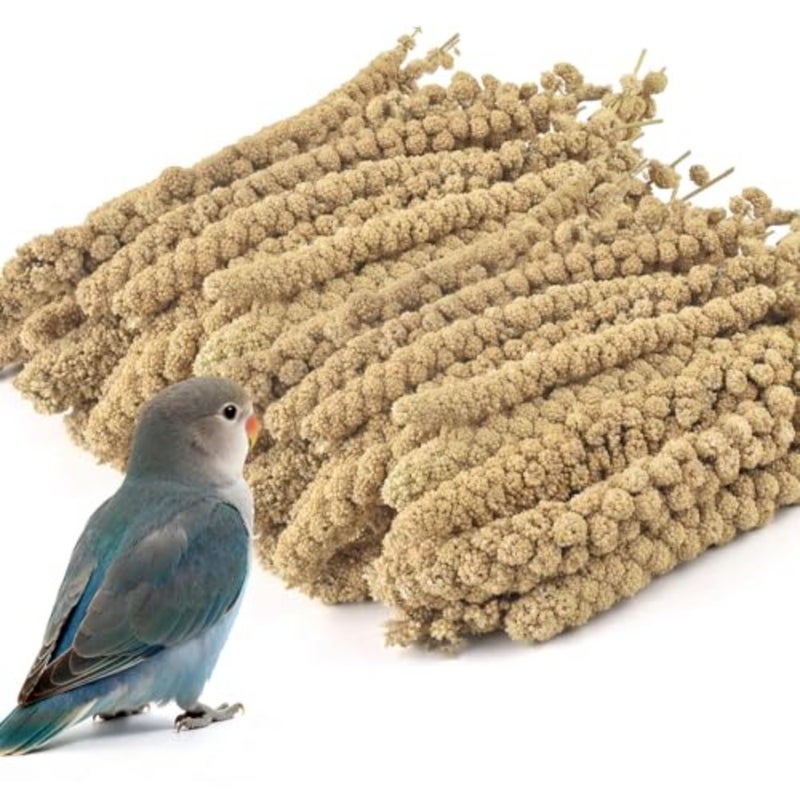 2.5LB Spray Millet Treat, All Natural Sun-Dried Healthy Treat Parrot Food Bird Snack for Parakeets, Lovebirds, Cockatiels, Finches, Budgies, Canaries Hamster, Bird Food Bulk - Image 1