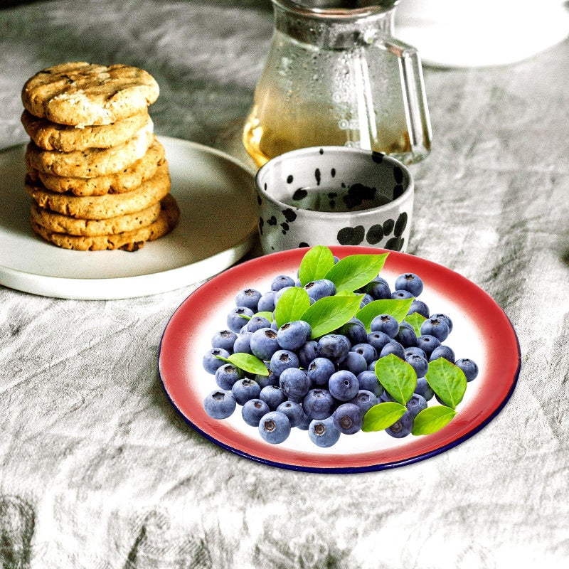 20cm Vintage Enamel Round Serving Plates Floral Pattern Set for Home Dining and Barbecue - Image 4