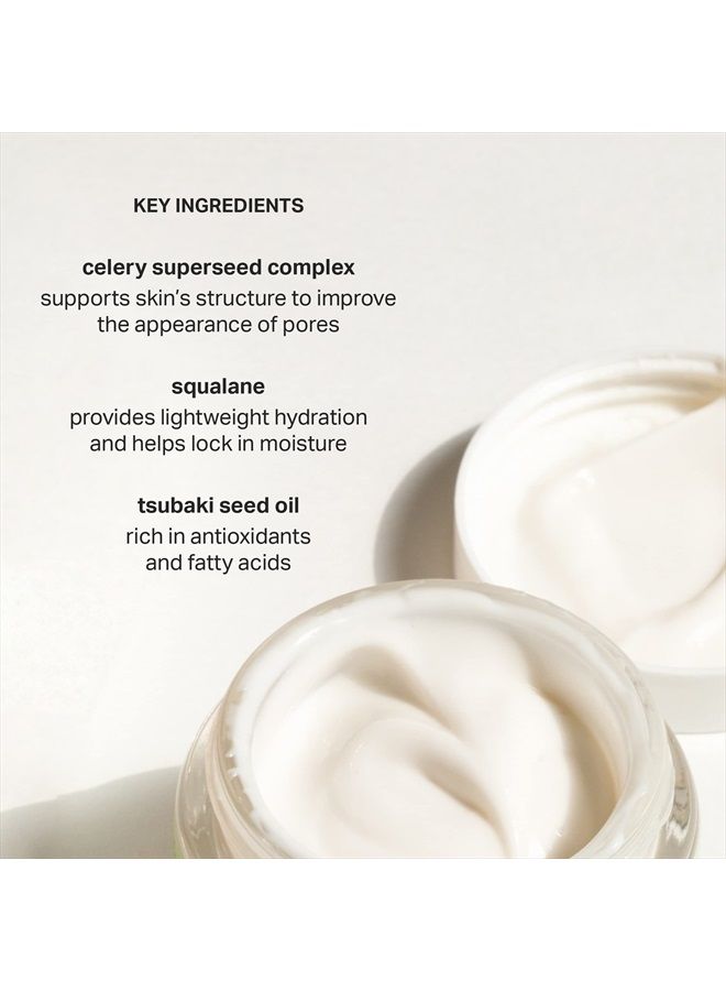 Cocokind Texture Smoothing Cream, Face Moisturizer with Squalane, Celery Seed and Cucumber, Face Lotion Moisturizer Face, Hydrating Face Cream - Image 3