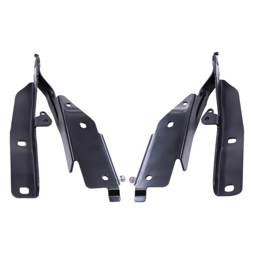 ApplianPar 2Pcs Front Driver and Passenger Hood Hinge for Q60 20142015 G37 20082013 - Image 1