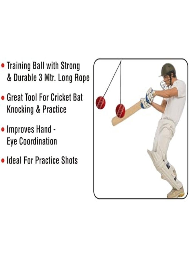 KITSAWS Sports Hanging Cricket Ball for Practice/Training for Boys, Girls, Kids Home Practice Balls Ideal for Indoor & Outdoor Batting, Heavy Training. (i10 Ball) - Image 5