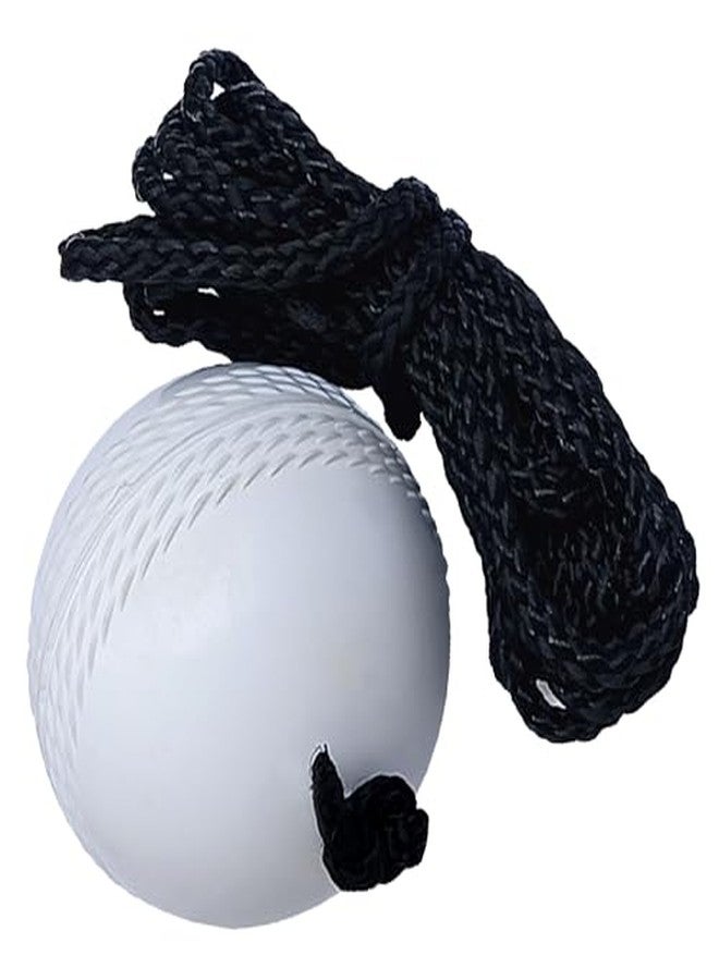 KITSAWS Sports Hanging Cricket Ball for Practice/Training for Boys, Girls, Kids Home Practice Balls Ideal for Indoor & Outdoor Batting, Heavy Training. (i10 Ball) - Image 3