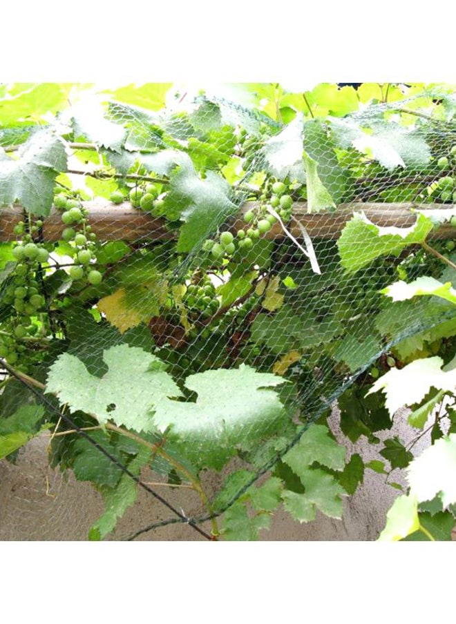 Loquat - Anti Bird Protective Plant Covering Net Green 4x10meter - Image 1