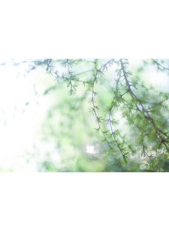 Breathe: Investigations into Our Atmospherically Entangled Future  - Image 3