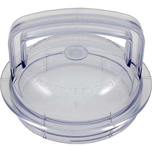 Pentair Lid Strainer 25305-000-020 - Image 4
