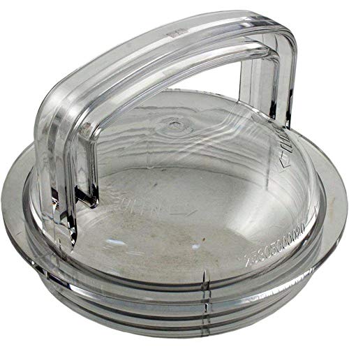 Pentair Lid Strainer 25305-000-020 - Image 2
