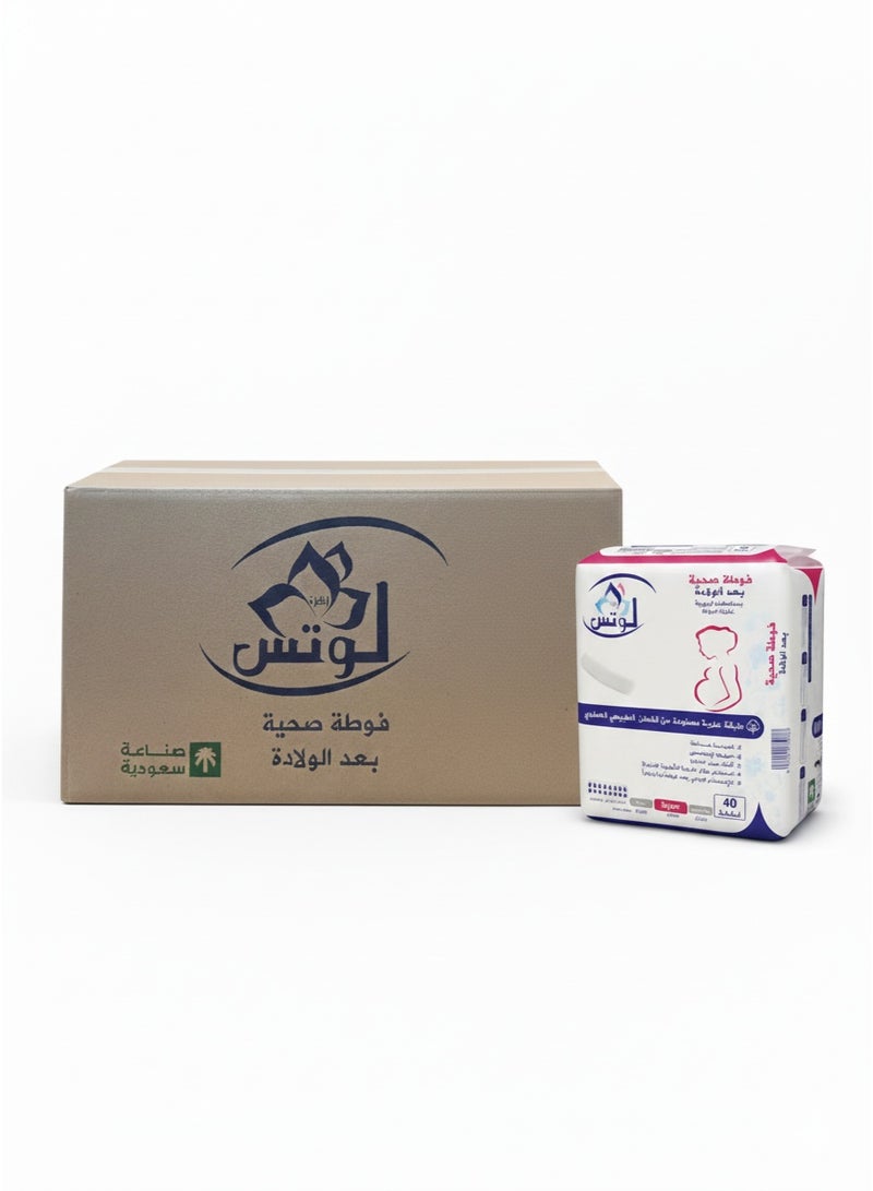 Lotus Carton of Postpartum Pads - Super Absorbency (6 Packs × 40 Pads) - Complete Post-Delivery Protection - Image 1