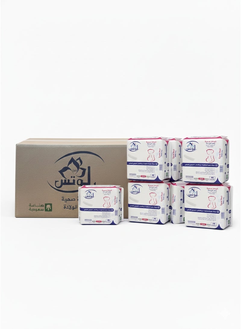 Lotus Carton of Postpartum Pads - Super Absorbency (6 Packs × 40 Pads) - Complete Post-Delivery Protection - Image 4