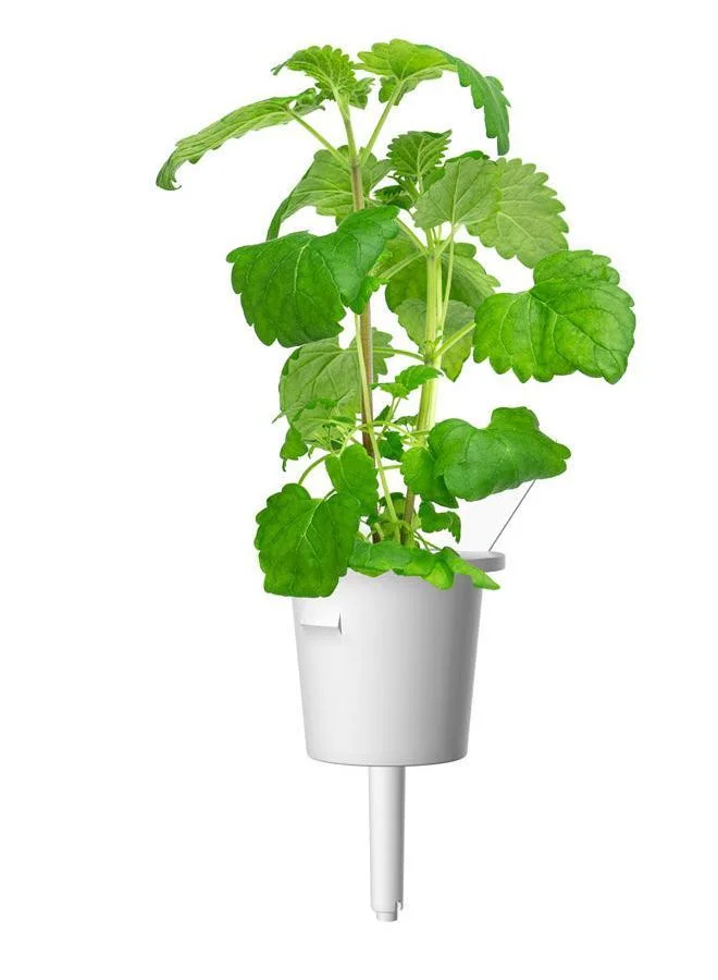 Click & Grow Click & Grow Plant Pods Catnip