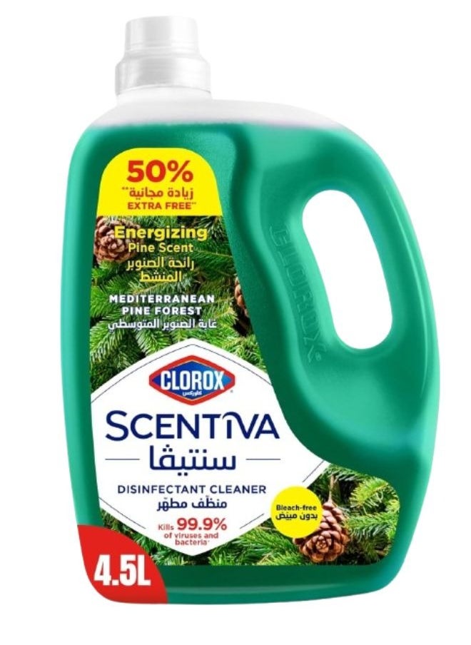 Clorox Scentiva Disinfectant Floor Cleaner Mediterranean Pine Forest  - Image 1