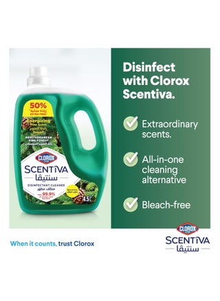 Scentiva Disinfectant Floor Cleaner Mediterranean Pine Forest - view 5
