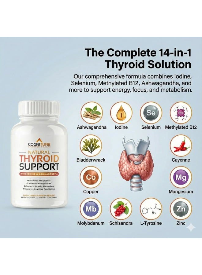 CogniTune Thyroid Support Complex Supplement - Thyroid Support for Women and Men - Boost Energy, Focus, Metabolism, Weight Loss - Iodine Supplement with Vitamin B 12, Magnesium, Selenium, Ashwagandha and More - Image 2
