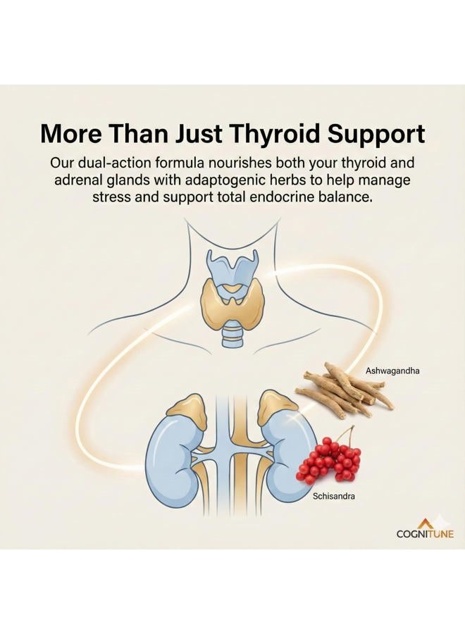 CogniTune Thyroid Support Complex Supplement - Thyroid Support for Women and Men - Boost Energy, Focus, Metabolism, Weight Loss - Iodine Supplement with Vitamin B 12, Magnesium, Selenium, Ashwagandha and More - Image 4