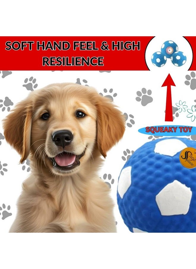 Sage Square - Squeaky Checked Ball Toy: Fun, Engaging & Durable For Dogs & Cats Satisfies Chewing & Play Instincts, Interactive, Keep Your Pet Entertained & Engaging For Your Canine Companion'S Playtime - Image 1
