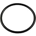 Waterway Plastics Waterway Plastics Swimming Pool Chlorinator Lid VITON O-Ring 805-0348VB Lid O-Ring for CAG004-W or CLC012-W Chlorinator  - Image 2