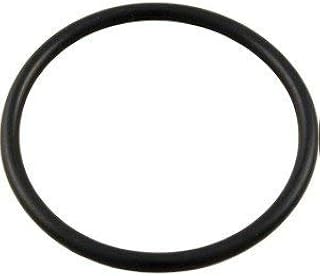 Waterway Plastics Waterway Plastics Swimming Pool Chlorinator Lid VITON O-Ring 805-0348VB Lid O-Ring for CAG004-W or CLC012-W Chlorinator  - Image 1