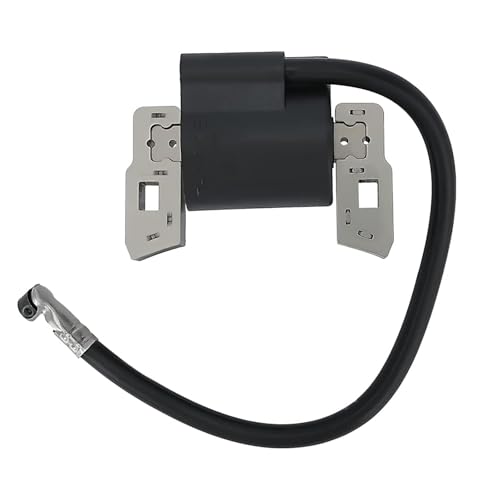 Panari 397358 Ignition Coil for BS 697037 298316 395490 395491 - Image 1