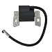 Panari 397358 Ignition Coil for BS 697037 298316 395490 395491 - Image 2