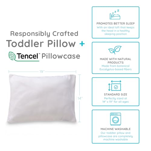 PUREgrace Tencel Toddler Pillow and Pillowcase Set – Organic Cotton Shell, Washable and Soft for Kids Ages 2-5, Perfect Size for Travel (14” x 19”) - Image 3