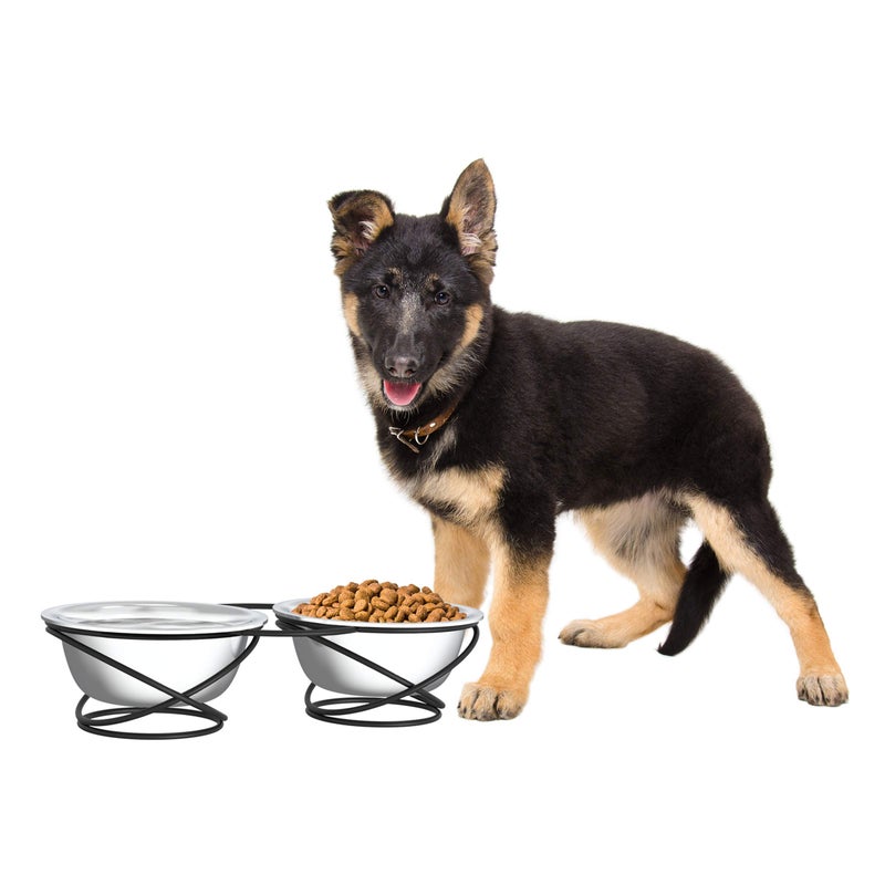 PETMAKER Set of 2 Stainless Steel Dog Bowls - 40oz Pet Bowls with Decorative Dog Food Stand - Metal Food and Water Dishes for Large Pets - Puppy Essentials by PETMAKER (Silver/Black) - Image 1