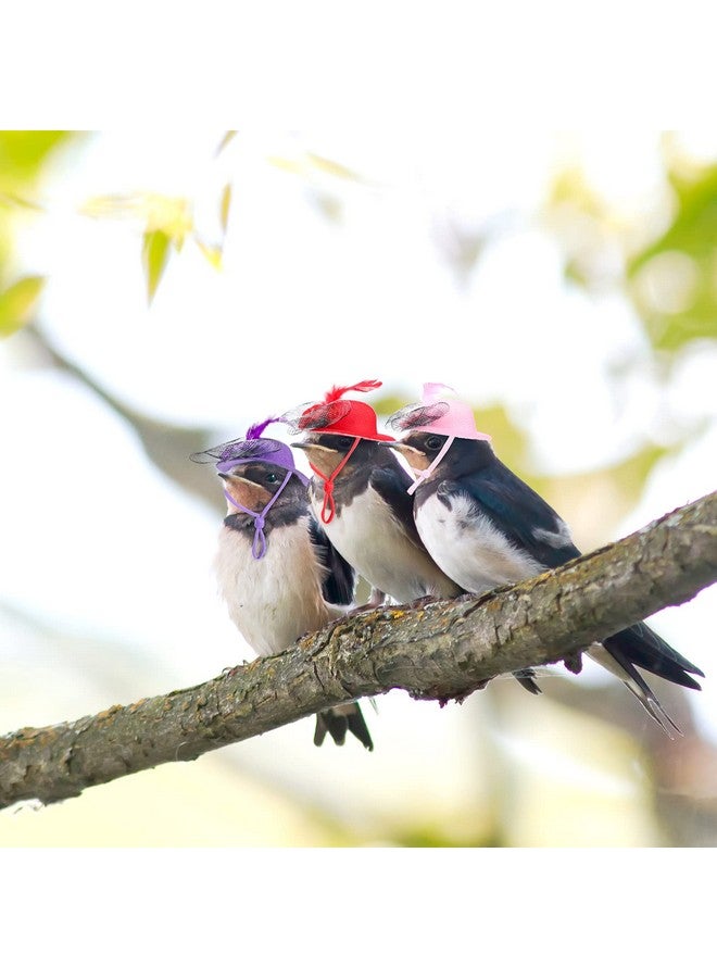 Weewooday 6 Pieces Chicken Hats For Hens Tiny Pets Funny Halloween Accessories Feather Top Hat With Adjustable Elastic Chin Strap Rooster Duck Parrot Poultry Stylish Show Costume (Simple Style) - Image 4