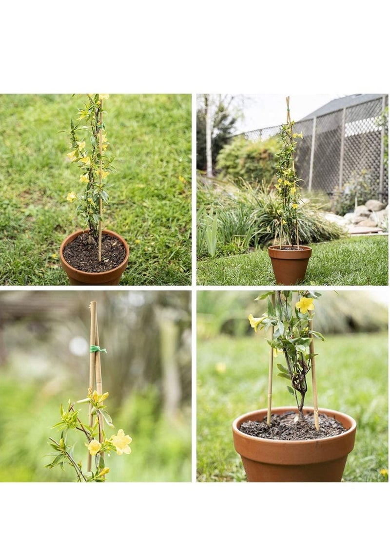 LINGWEI Natural Bamboo Poles Bamboo Stake For Plant Support Bamboo Garden Poles Strong Gardening Sticks For Indoors or Outdoors  - Image 3