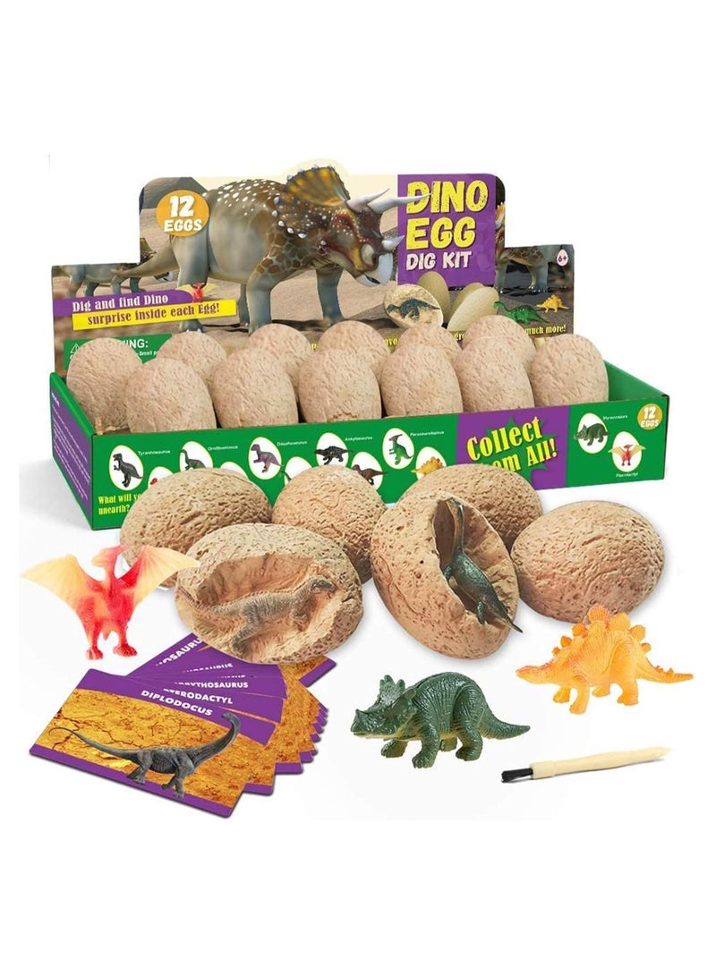 TOY GARDEN Dinosaur Eggs Dig Kit - 12 Pack Dino Egg Excavation STEM Toys for Kids | Discover Different Dinos Archaeology & Paleontology Toy | Ideal Gift for Boys & Girls - Image 2