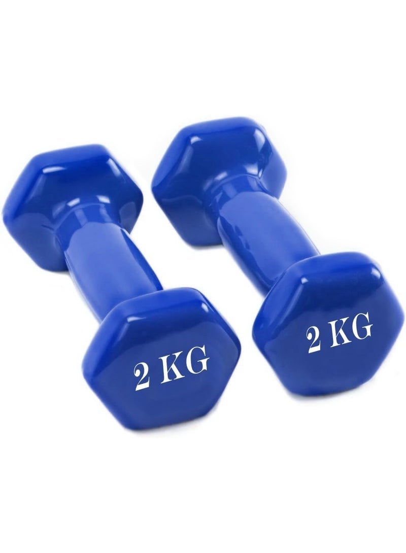 Exercise dumbbells - 2 kg x 2 (multi-colored) - Image 2