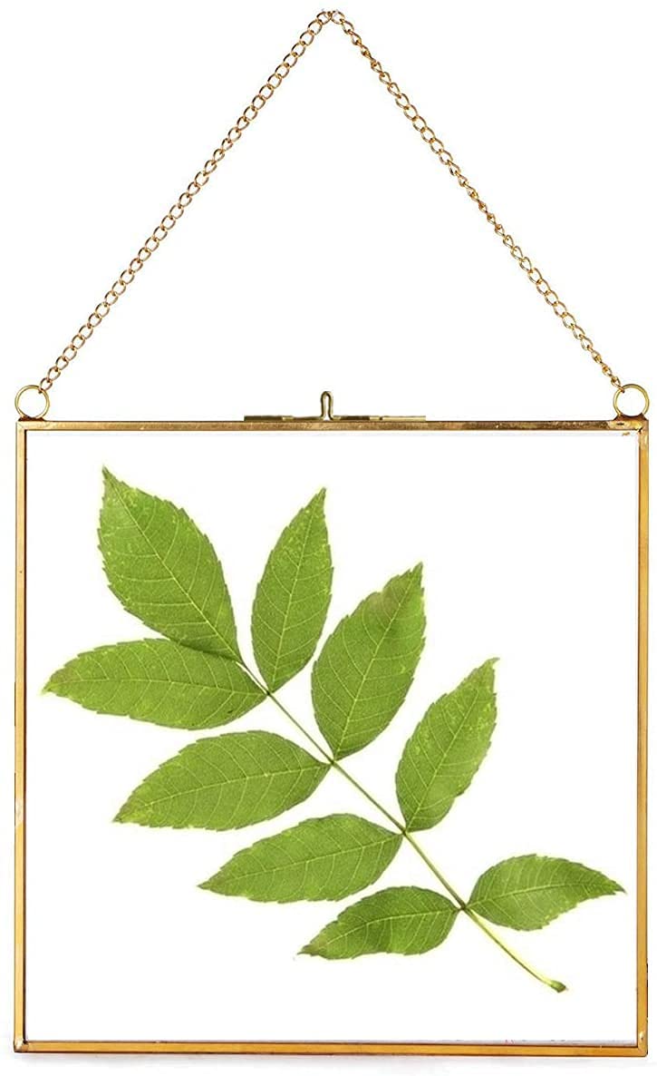 ARTINCO Art India Collections Home Decor Brass, Glass and Metal Hanging Picture Frame, with 2 Sides - 6 x 6 inch (Golden) ,Wall Mount - Image 2