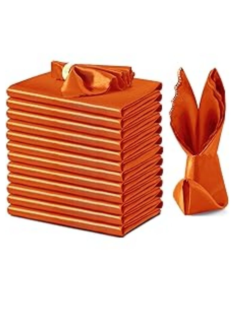 Y&D 30 Pieces Of Soft High Density Satin Napkin Cloth For Hotel Restaurant 43*43CM  - Image 1