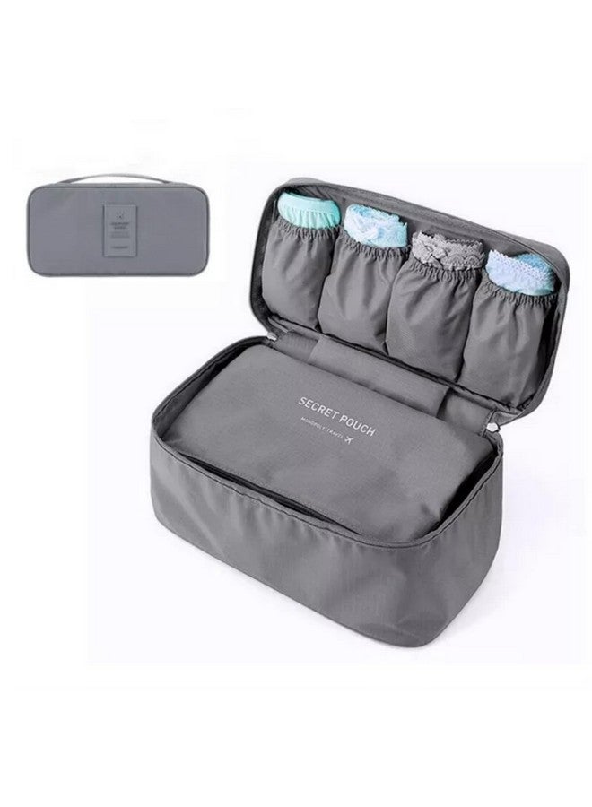 PAVITYAKSH Bag Innerwear Bra Underwear Storage Bag Travel Bag Trip Handbag Luggage Traveling Bag Pouch Case Suitcase Space Saver Container Bags (Grey) - Image 4