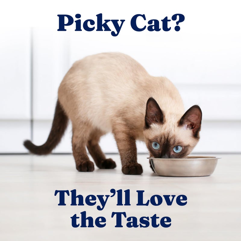 Solid Gold Wet Cat Food Shreds in Gravy - Healthy Canned Cat Food Made w/Real Chicken & Duck Shreds, Vitamins & Minerals - Grain Free & Gluten Free Canned Meals for Cats & Kittens - 24ct/3oz Can - Image 5