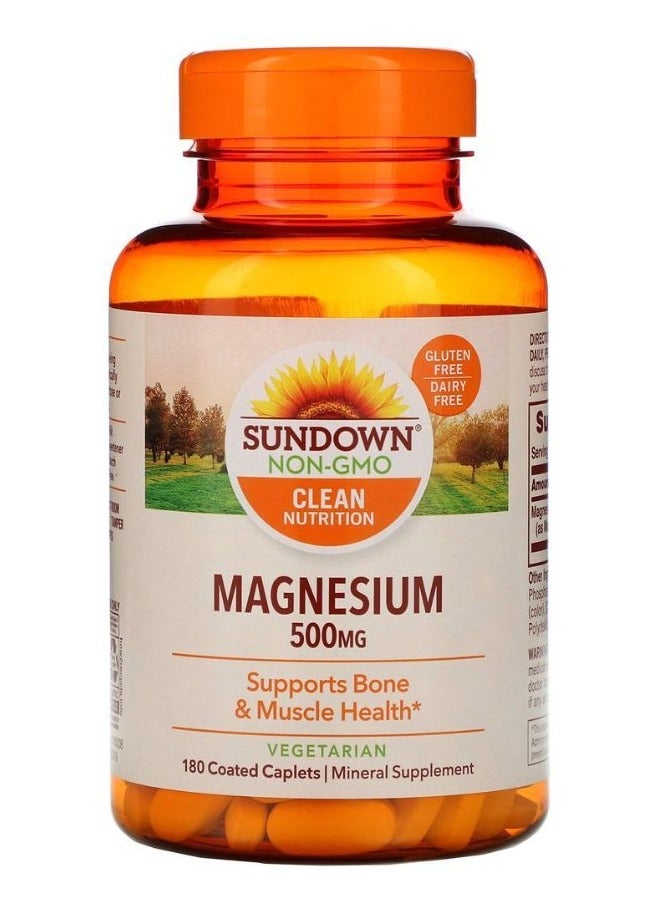 sundown Naturals Sundown Naturals Magnesium (500mg, 180 Coated Caplets) 
