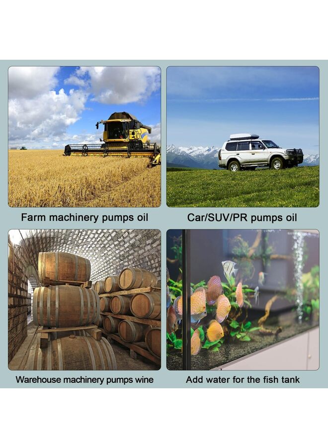 مضخة نقل وقود 12 فولت، مضخة مياه صغيرة محمولة من الفولاذ المقاوم للصدأ مزودة بمفتاح تشغيل/إيقاف، مضخة مياه لنقل وقود الديزل والزيت، مضخة ضغط مياه صناعية كهربائية محمولة 12 فولت 40 مم - Image 5